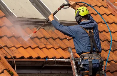 Démoussage et hydrofuge de toiture à Blumeray